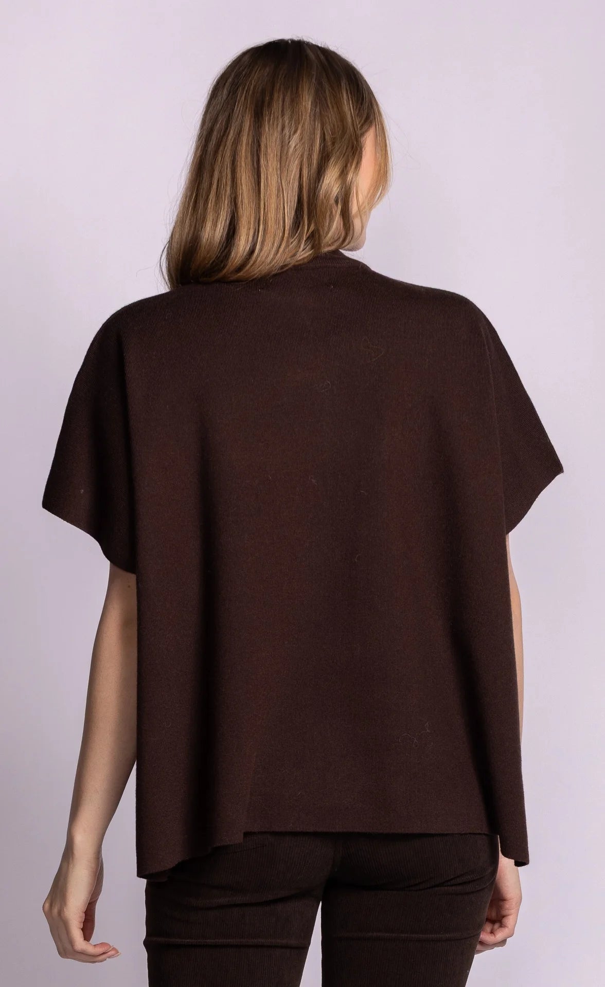 Short sleeve sweater with a mock neck and buttons in brown