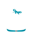 Teal triangle bikini top with lace detailing 