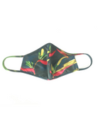 Multi Color Face Mask