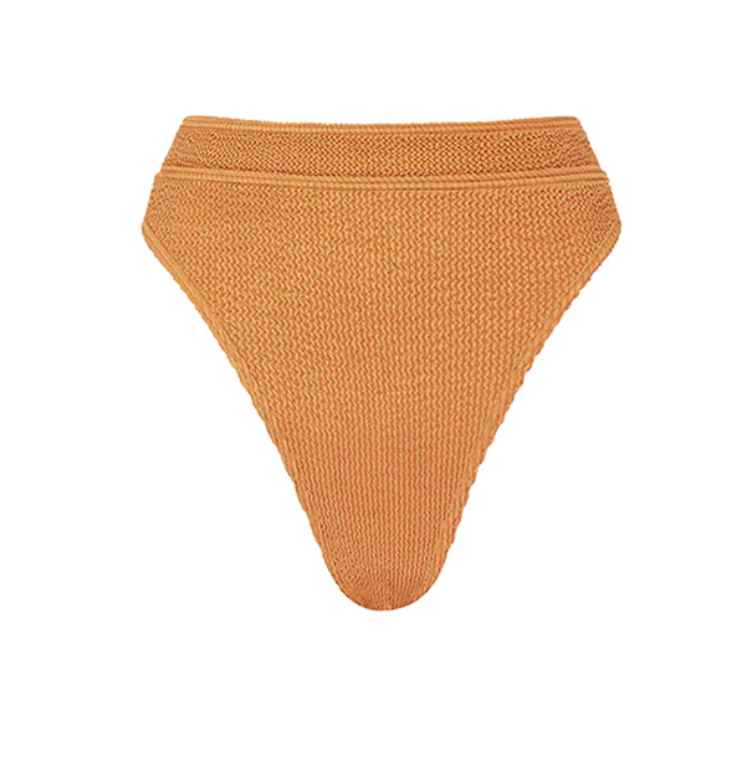 
                  
                    Burnt Orange High Waist One Size Bikini Bottom
                  
                
