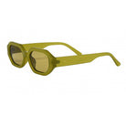 Fun Colorful Sunglasses
