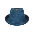 Colorful Fedora